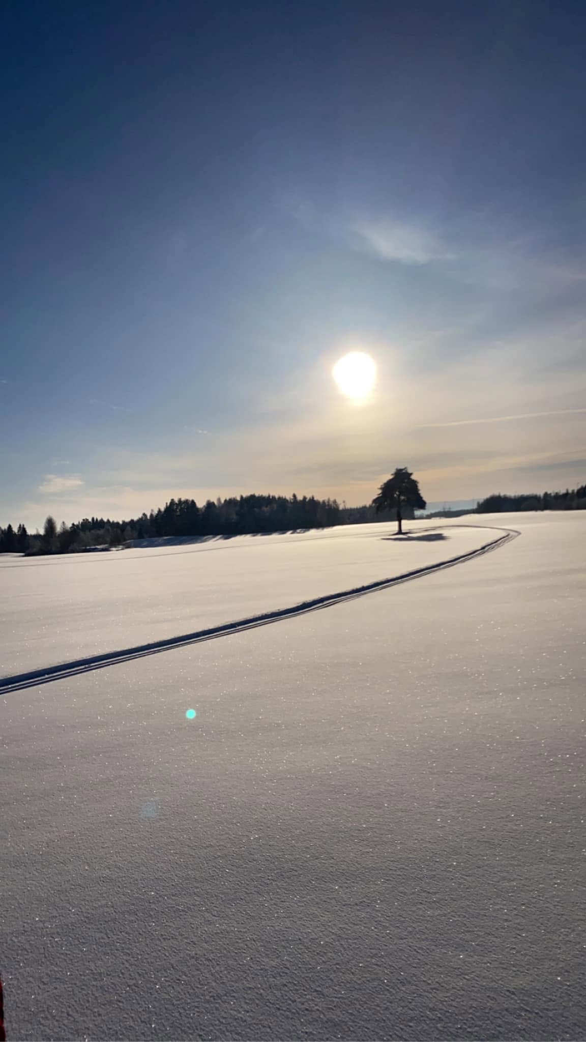 Artikkelbilde til artikkelen Skiløyper