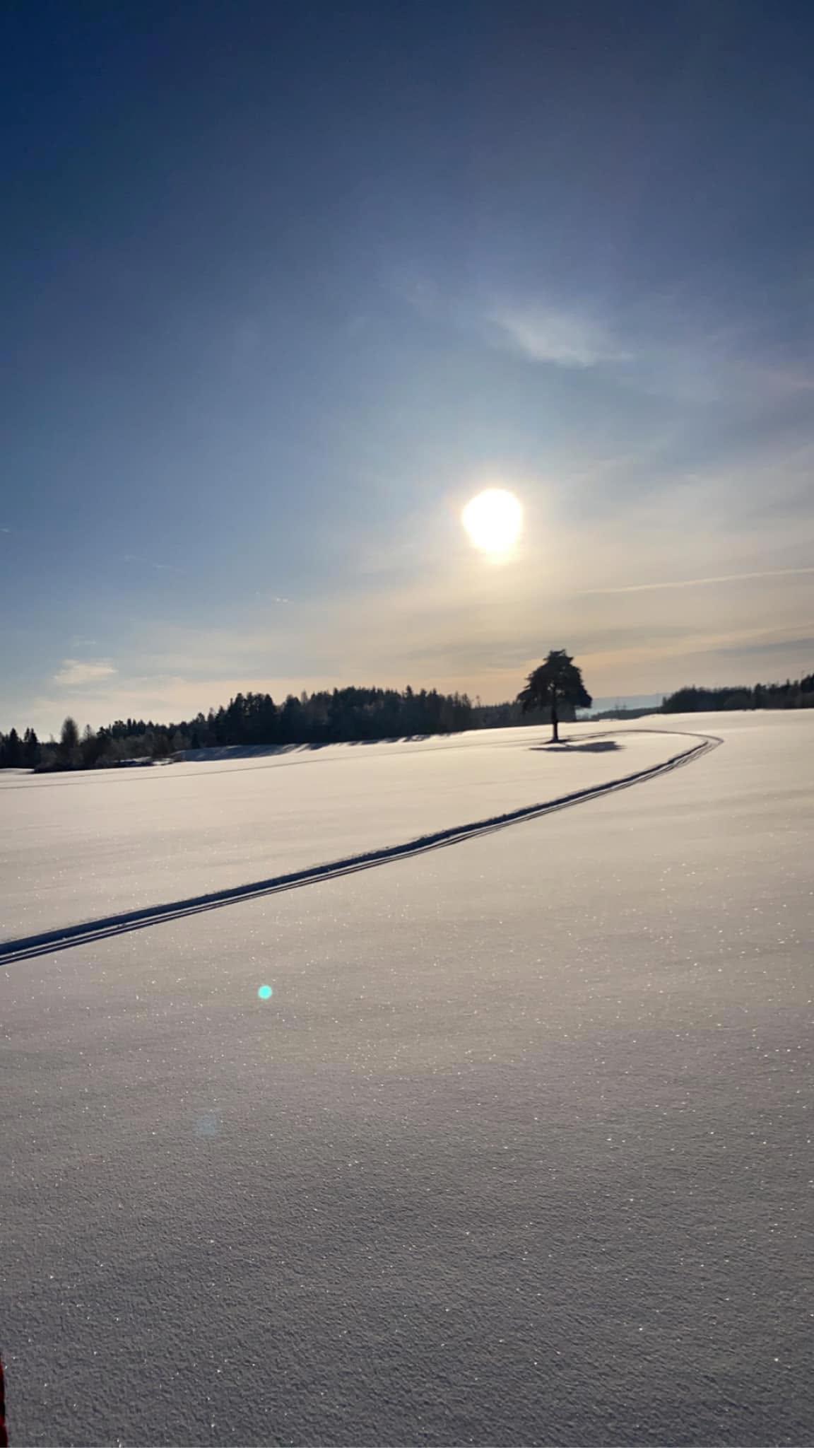 Skiløyper